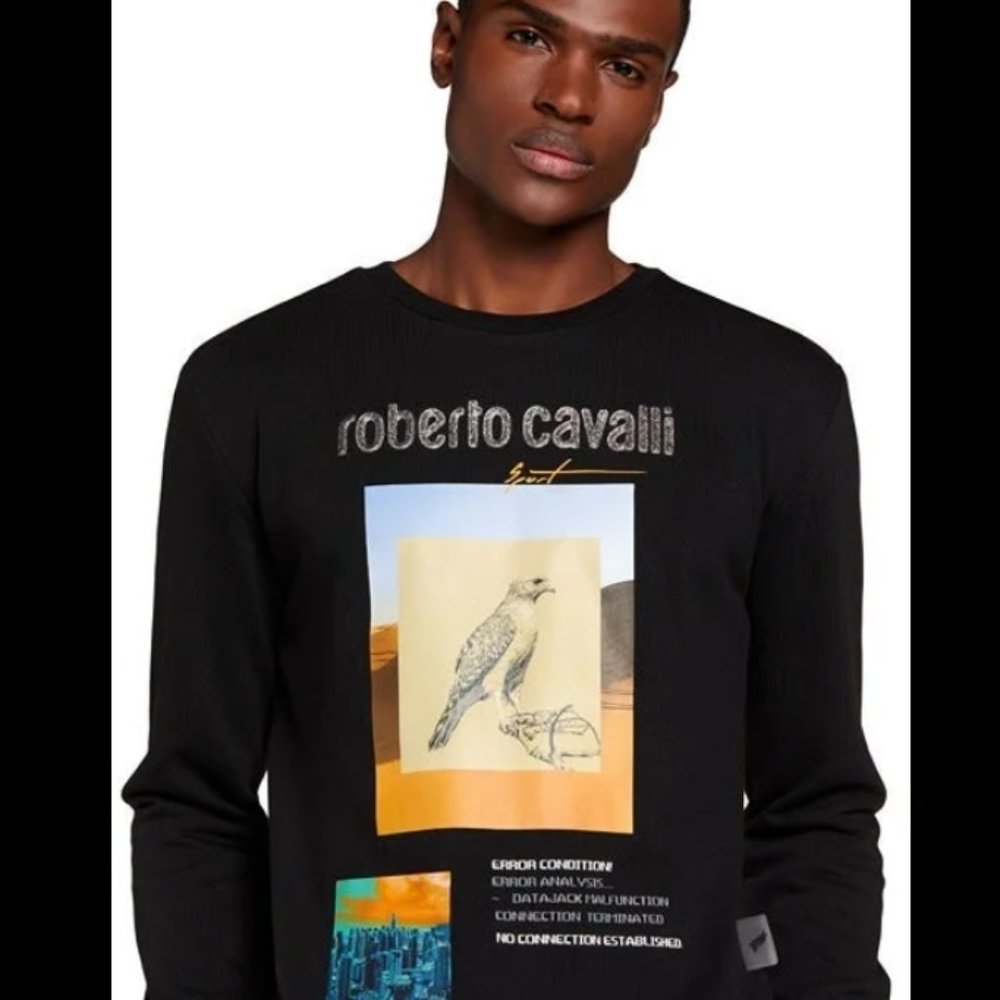 Roberto Cavalli SPORT - Eagle & City Graphic Logo Sweatshirt *RARE*